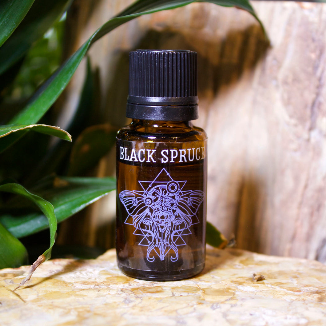 Black Spruce Essential Oil