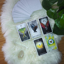 Load image into Gallery viewer, The Wild Unknown Animal Spirit Deck &amp; Guidebook
