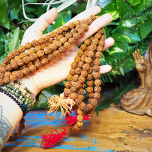 Load image into Gallery viewer, Rudraksha Mala, 10mm
