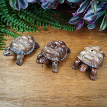 Load image into Gallery viewer, Clay Turtle/Tortoise Incense Holder
