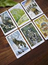 Load image into Gallery viewer, The Wild Wood Tarot