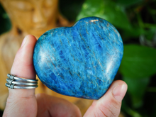 Load image into Gallery viewer, Apatite Hearts