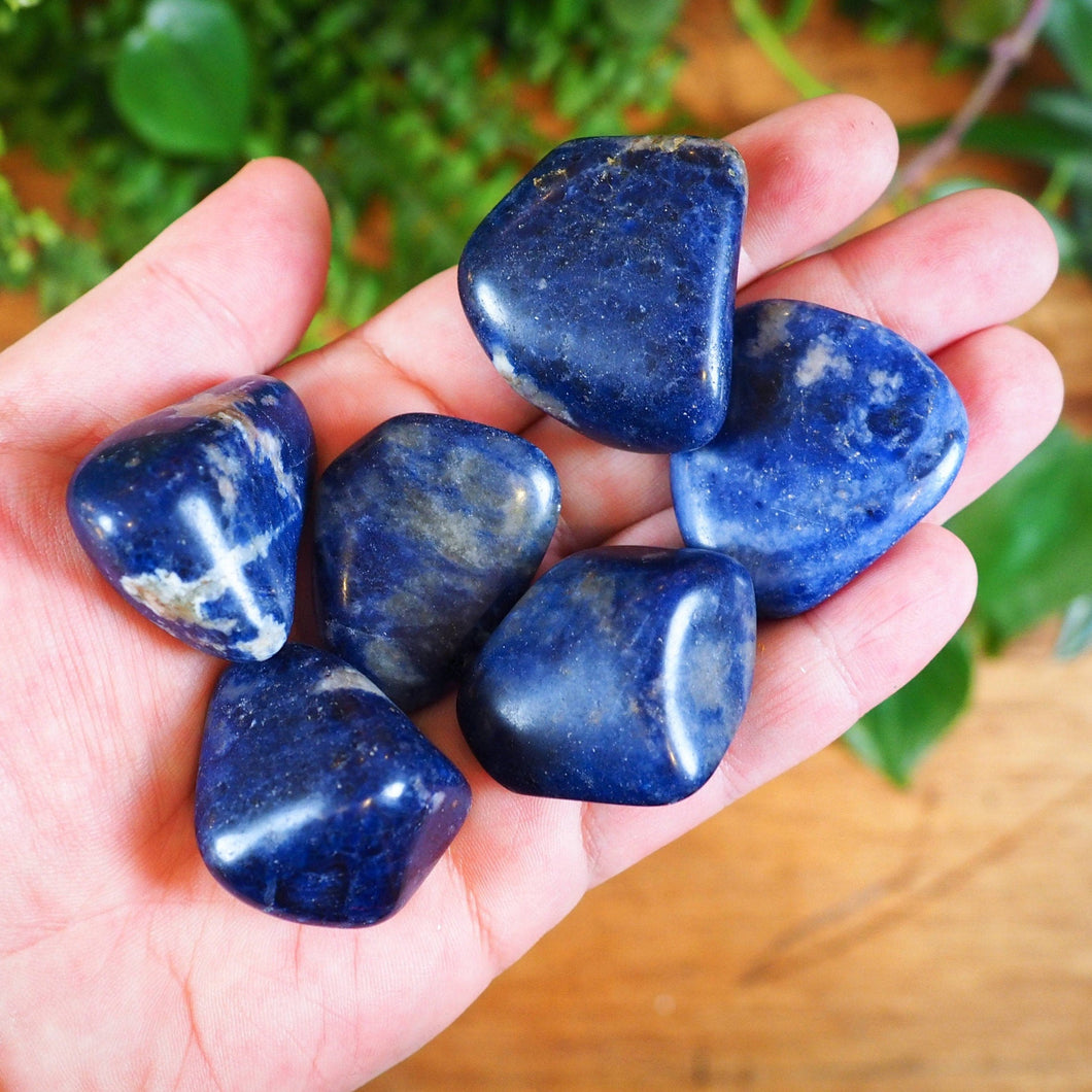 Sodalite Tumble Stones, 3-4cm