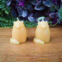 Load image into Gallery viewer, Barletta Beeswax Candle - Raccoon
