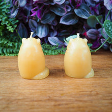 Load image into Gallery viewer, Barletta Beeswax Candle - Raccoon